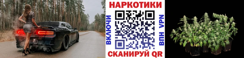 Купить наркотик Кудрово МДМА  kraken зеркало  ГАШИШ  Alpha-PVP  Мефедрон 