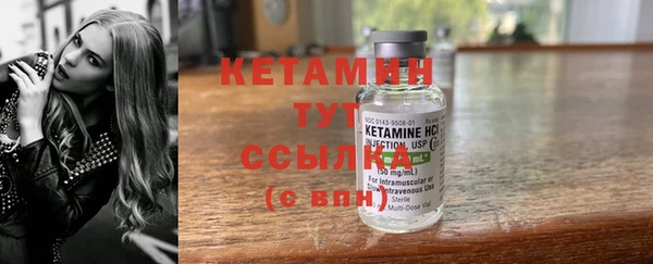 стаф Богданович
