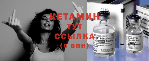 стаф Богданович