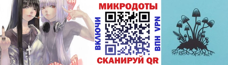 Галлюциногенные грибы Magic Shrooms  mega сайт  Кудрово  где купить наркоту 