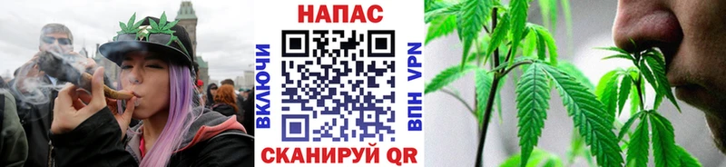 Марихуана марихуана Кудрово